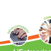 ASEA (Artisane Services Entreprise Adaptée)